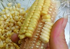 ۳ روش برای دانه کردن ذرت خام و پخته