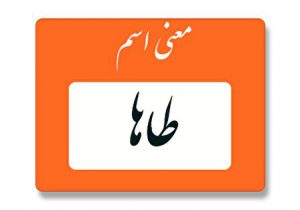 معنی اسم طاها