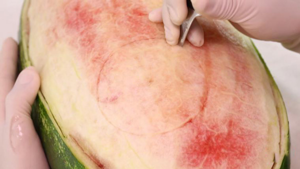 تزیین هندوانه شب یلدا ساده