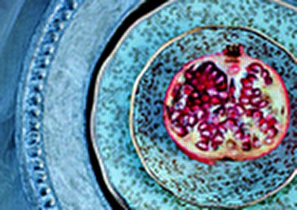 عکس تزیین سفره شب چله (یلدا) و میوه آرایی