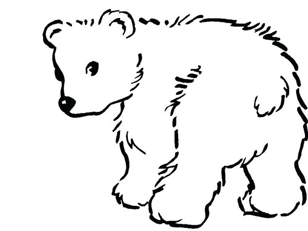 نقاشی خرس خوشگل