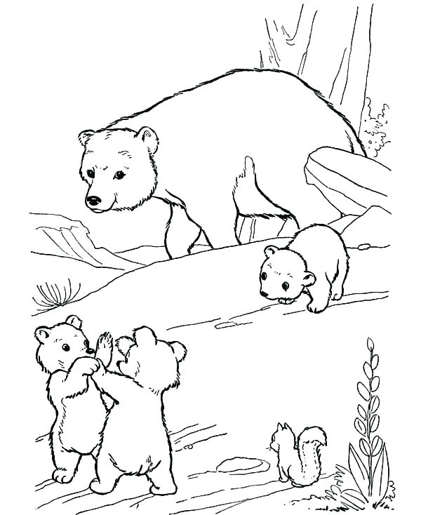 نقاشی بچه خرس و مادر