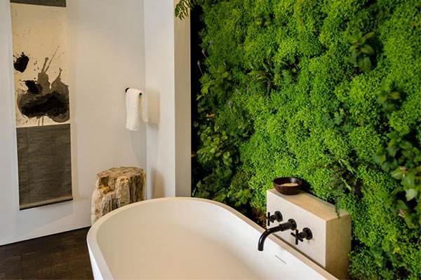 گیاهان مناسب سرویس بهداشتی و حمام
