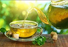 خواص چای سبز؛ یک انرژیبخش مغذی