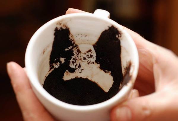 مار بزرگ در فال قهوه