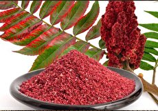 ۱۱ مورد از خواص سماق + عواض جانبی و نحوه مصرف