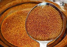 ۱۸ مورد از خواص خاکشیر + عوارض و روش مصرف