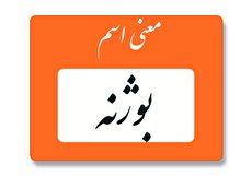 معنی اسم بوژنه چیست؟ (ریشه و اسم های مشابه بوژنه)