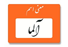 معنی اسم آلما چیست؟ (ریشه، فراوانی و اسم های مشابه آلما)