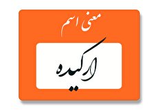 معنی اسم ارکیده چیست؟ (ریشه، فراوانی و اسم های مشابه ارکیده)