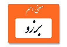 معنی اسم برزو چیست؟ (ریشه، فراوانی و اسم های مشابه برزو)