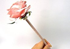تزیین خودکار با ۲۰ ایده متفاوت و جالب