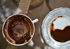 تعبیر و تفسیر زرافه در فال قهوه