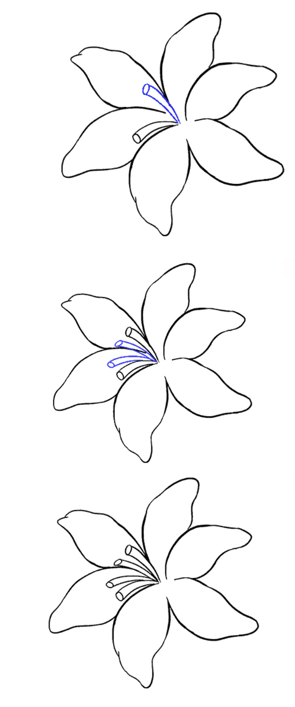 آموزش گام به گام نقاشی گل لیلیوم