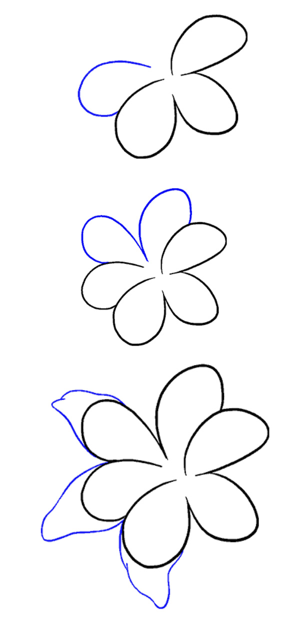 آموزش گام به گام نقاشی گل لیلیوم