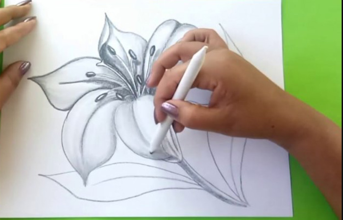 طراحی گل لیلیوم