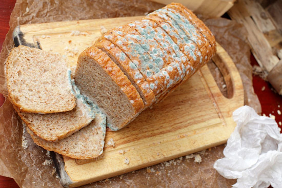 چه عوامل محیطی در رشد کپک روی نان نقش مثبتی دارند؟