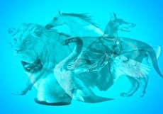 تست روانشناسی حیوان درون و شناخت ویژگی های شخصیتی