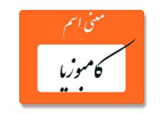 معنی اسم کامبوزیا چیست؟ (ریشه، فراوانی و اسامی مشابه کامبوزیا)