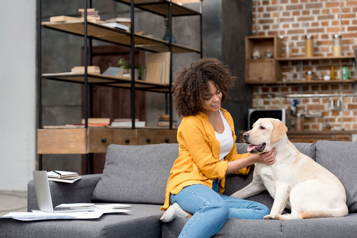 معرفی ۱۳ نمونه از بهترین نژاد سگ برای آپارتمان