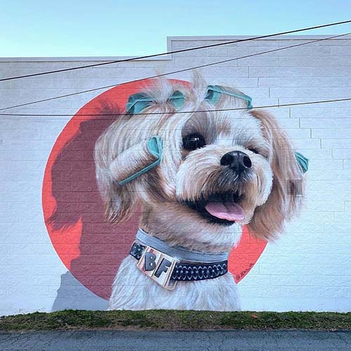 نقاشی سه بعدی سگ روی دیوار منزل