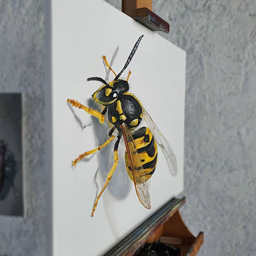 نقاشی سه بعدی زنبور 
