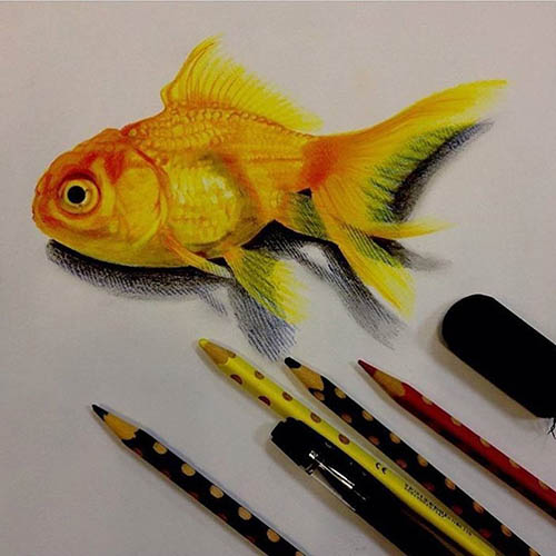 نقاشی سه بعدی ساده ماهی روی کاغذ