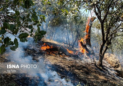 آتش سوزی جنگل های گیلان ۹۵ درصد در سطح مهار شده است