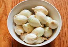 موسیر کوهی ؛ خواص، مضرات و تفاوتش با موسیر معمولی چیست؟