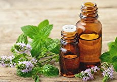 خواص و مضرات روغن نعناع و هشدارهای مصرف آن چیست؟