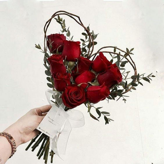 عکس گل عاشقانه رز قرمز 