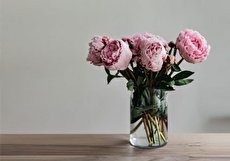 مجموعه عکس گل و عکس نوشته برای بکگراند، پروفایل و استوری