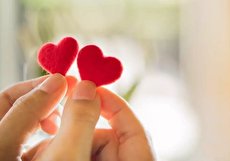 قصه عشق چیست؟ نگاه روانشناسان به حکایت عشق ریشه ای در افراد