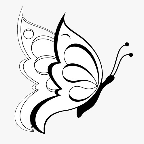 نقاشی ساده و زیبا از پروانه