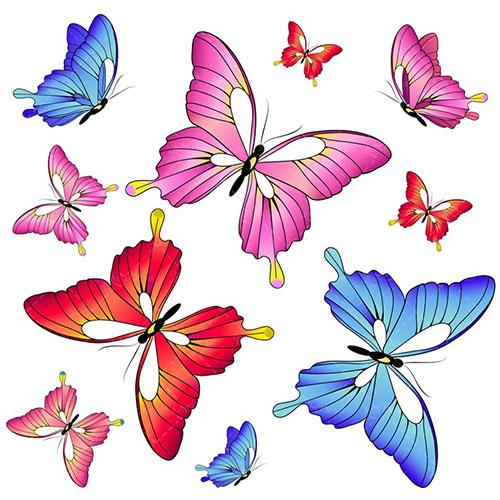 نقاشی زیبا از پروانه های رنگی