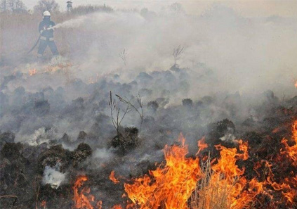 جان باختن ۳ فعال محیط زیست در اطفای آتش بوزین و مره خیل