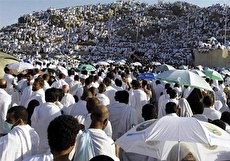 ۹۳۶ حاجی در عربستان سعودی بازداشت شدند!