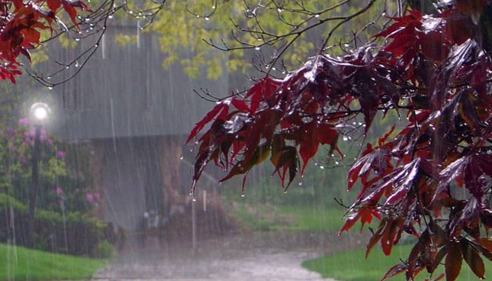 فواید شنیدن صدای باران + لینک دانلود صدای باران برای آرامش و مطالعه