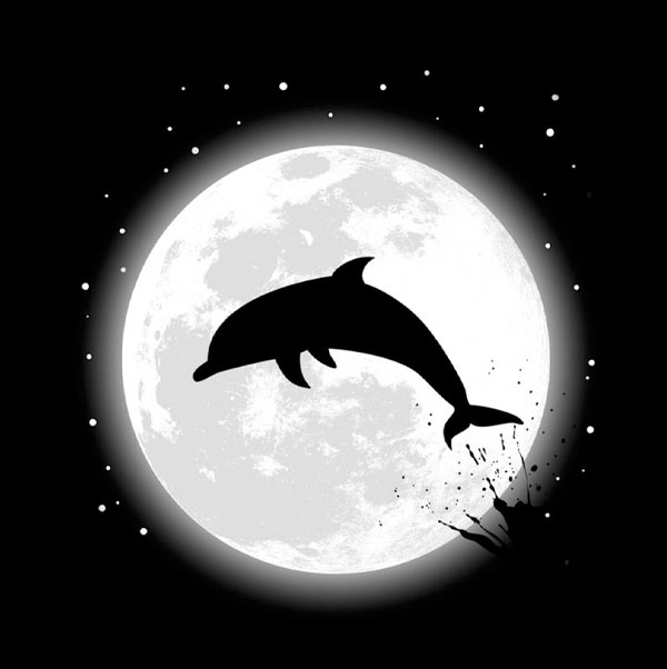 عکس دلفین های کارتونی