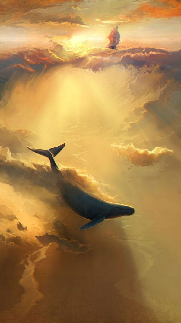 عکس دلفین برای نقاشی