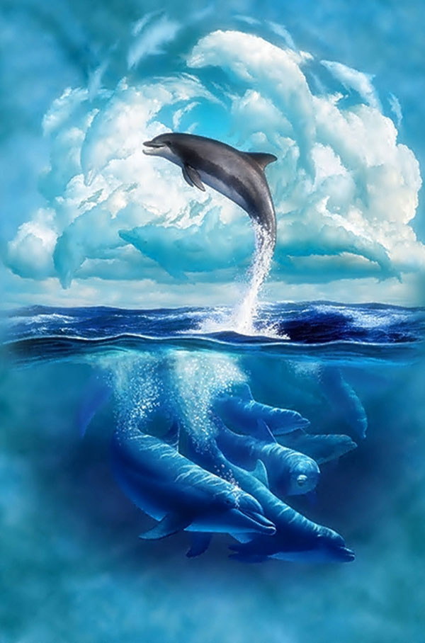 دانلود عکس دلفین با کیفیت بالا