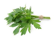 خواص گیاه انجدان و عوارض آن چیست و چگونه مصرف می شود؟