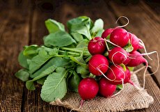 کالری ترب و تربچه؛ هر ۱۰۰ گرم ترب چقدر کالری دارد؟