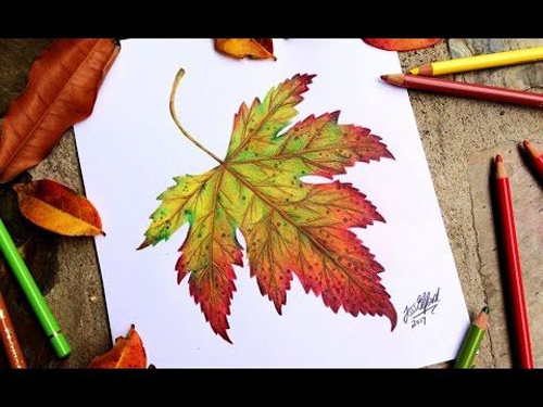 نقاشی مداد رنگی برگ پاییز