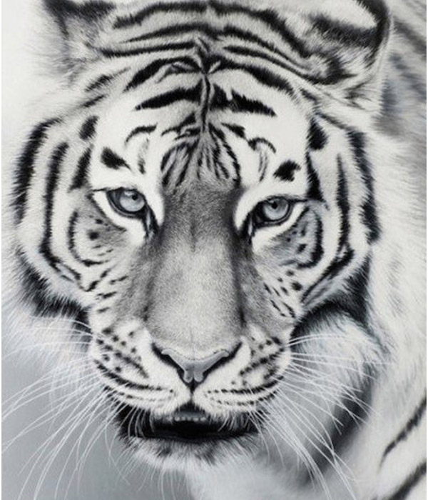 نقاشی سیاه قلم ساده و آسان