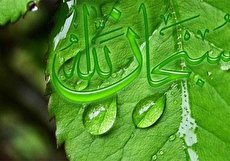 در قرآن چه سوره هایی به نام پدیده هایی در طبیعت نامگذاری شده اند؟