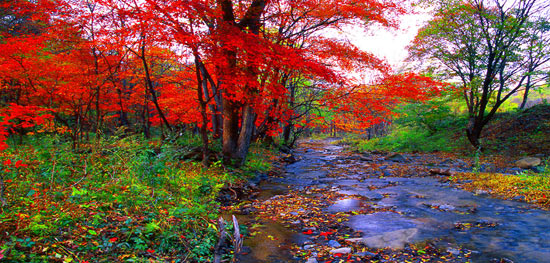 انشا پاییز فصل هزار رنگ