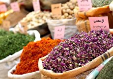 لیست عطاری های تهران به همراه آدرس و شماره تلفن