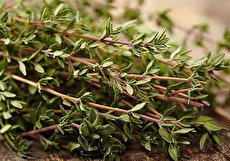 طبع آویشن و خواص آن چیست و چه مصلحاتی دارد