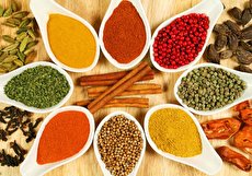 کاملترین لیست ادویه جات لازم و ضروری در خانه